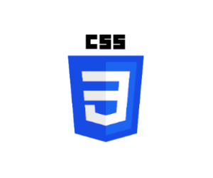 logoCss3